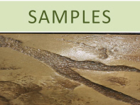 Samples